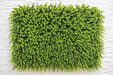 可以玩的动画片 《裂开了！裤先生》正式公开